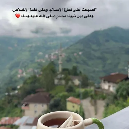 Poyraz 2 Chalet *